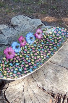 Royal Winton Chintz c.1930