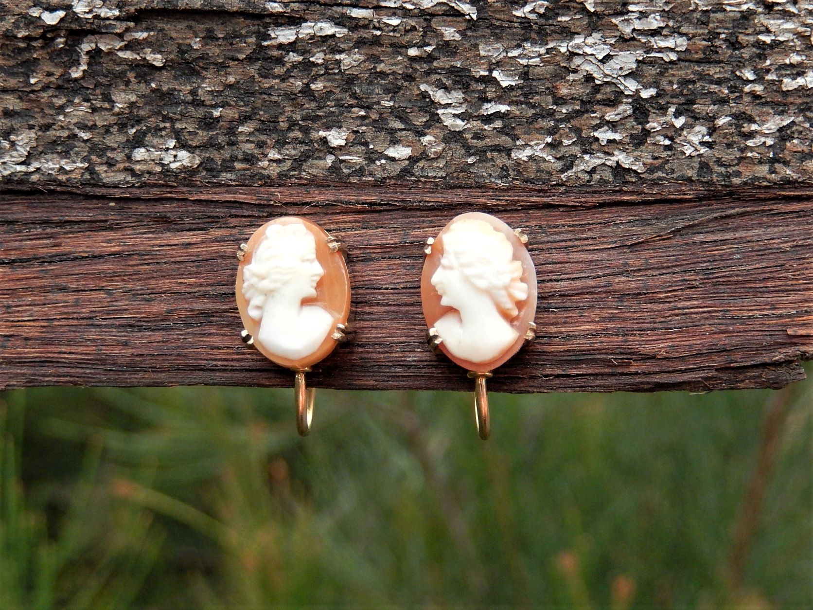 Cameo Screw Back Earrings in 9ct