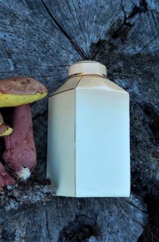 Pre Shelley Wileman & Co. Vase 1892