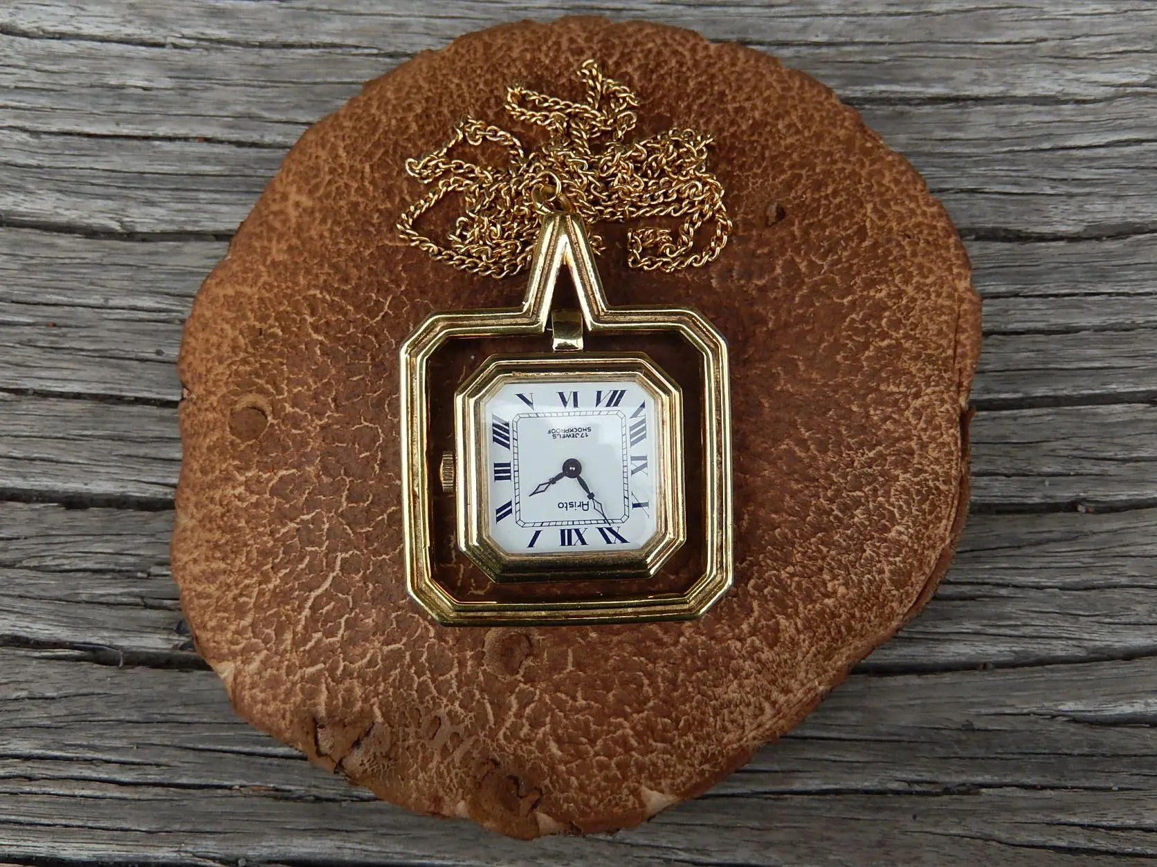 Aristo Pendant Watch The Shop in the Bush