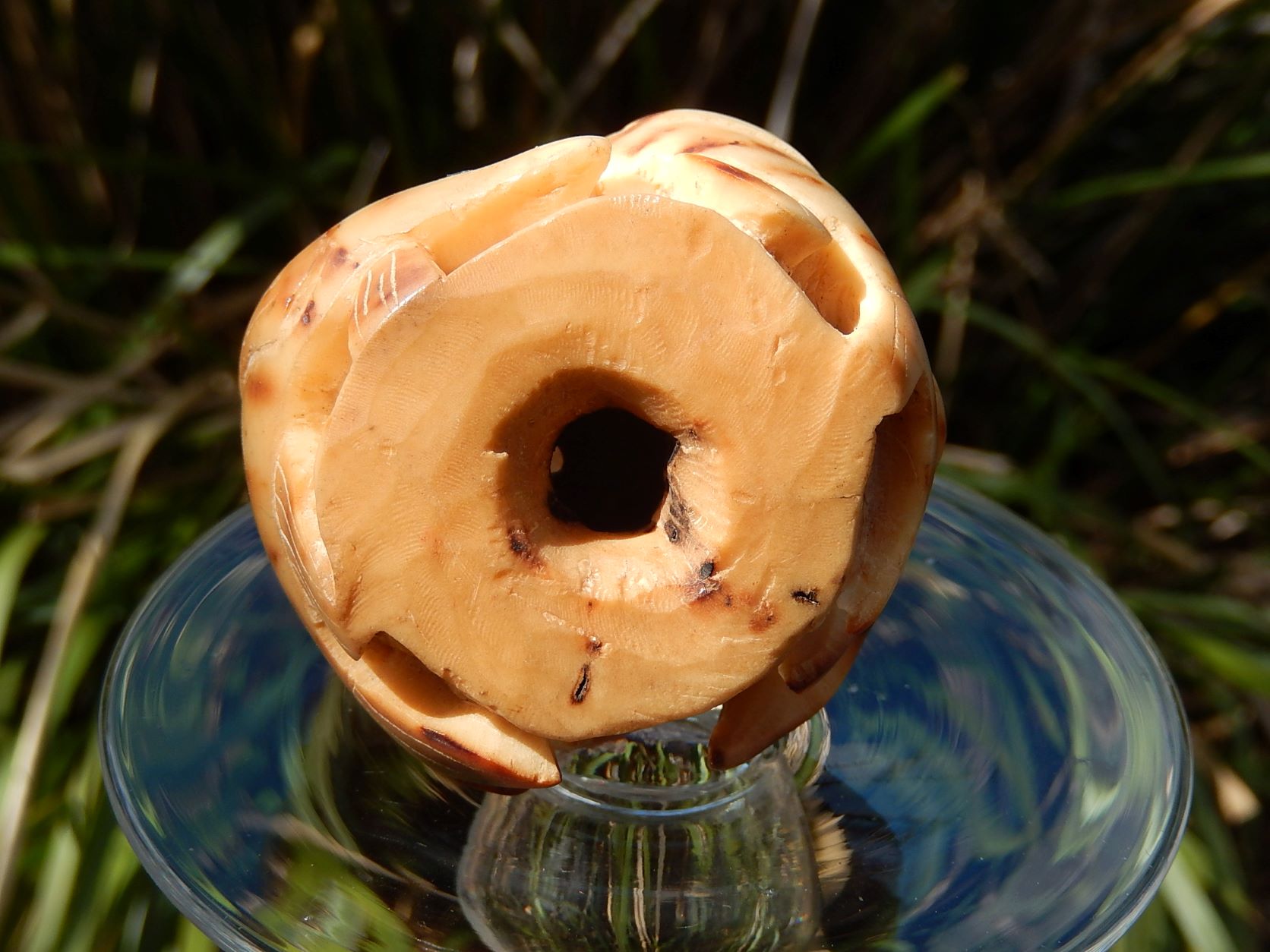 Carved Horn Sculpture - Image 7