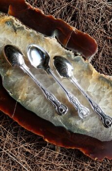 Sterling Spoon 1874