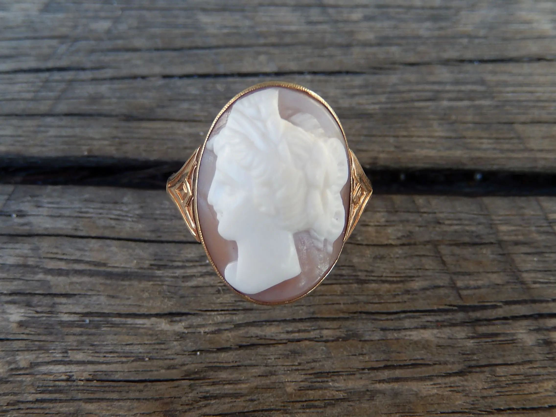 Hand Carved Shell Cameo Ring in 9ct Gold The Shop in the Bush