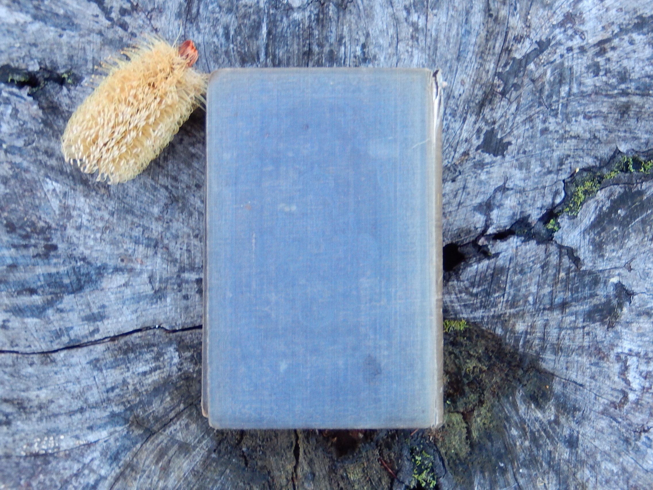 "History of the Inquisition from its establishment to the present time" Published in 1850 - Image 4