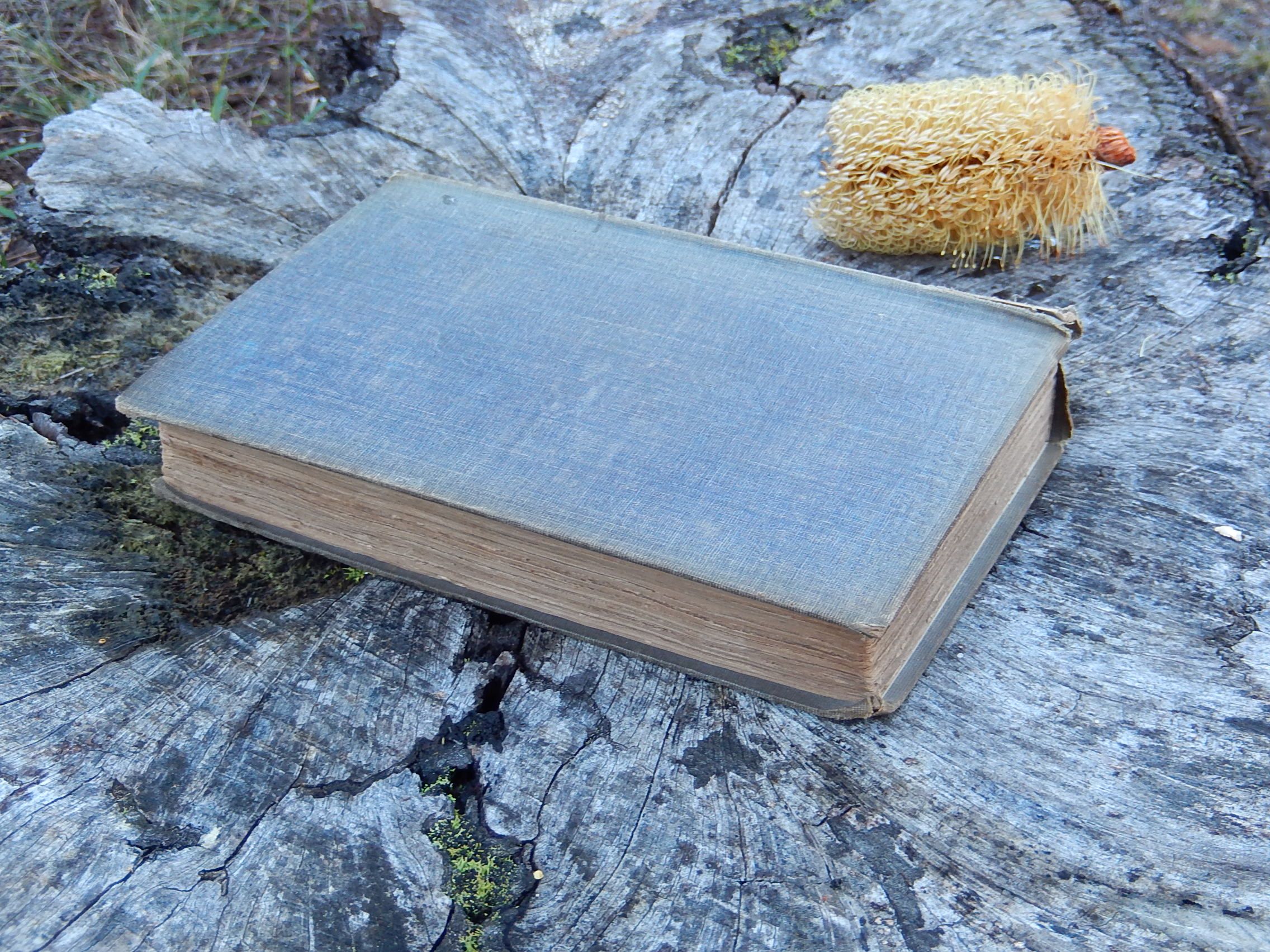 "History of the Inquisition from its establishment to the present time" Published in 1850 - Image 5