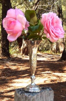 Sterling Silver Vase Birmingham 1901