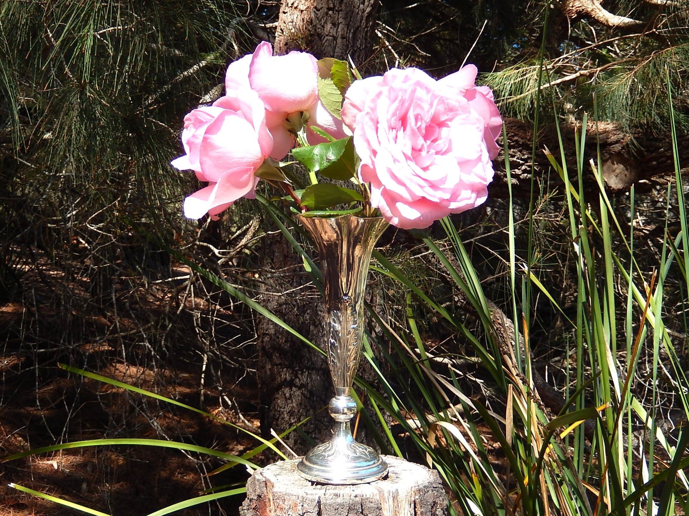 Sterling Silver Vase Birmingham 1901 - Image 3
