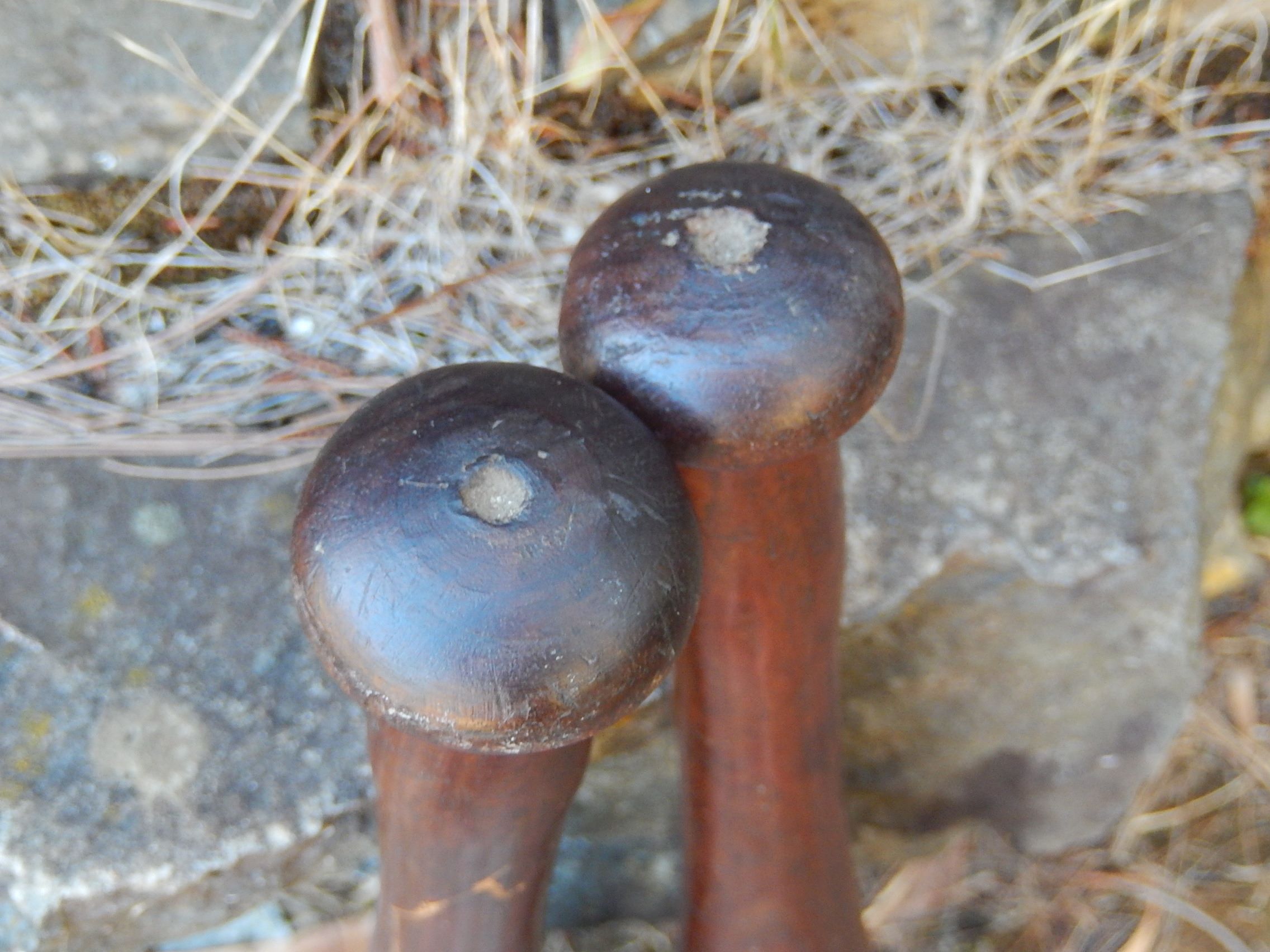 Pair of Oak Juggling Clubs c.1900 - Image 5