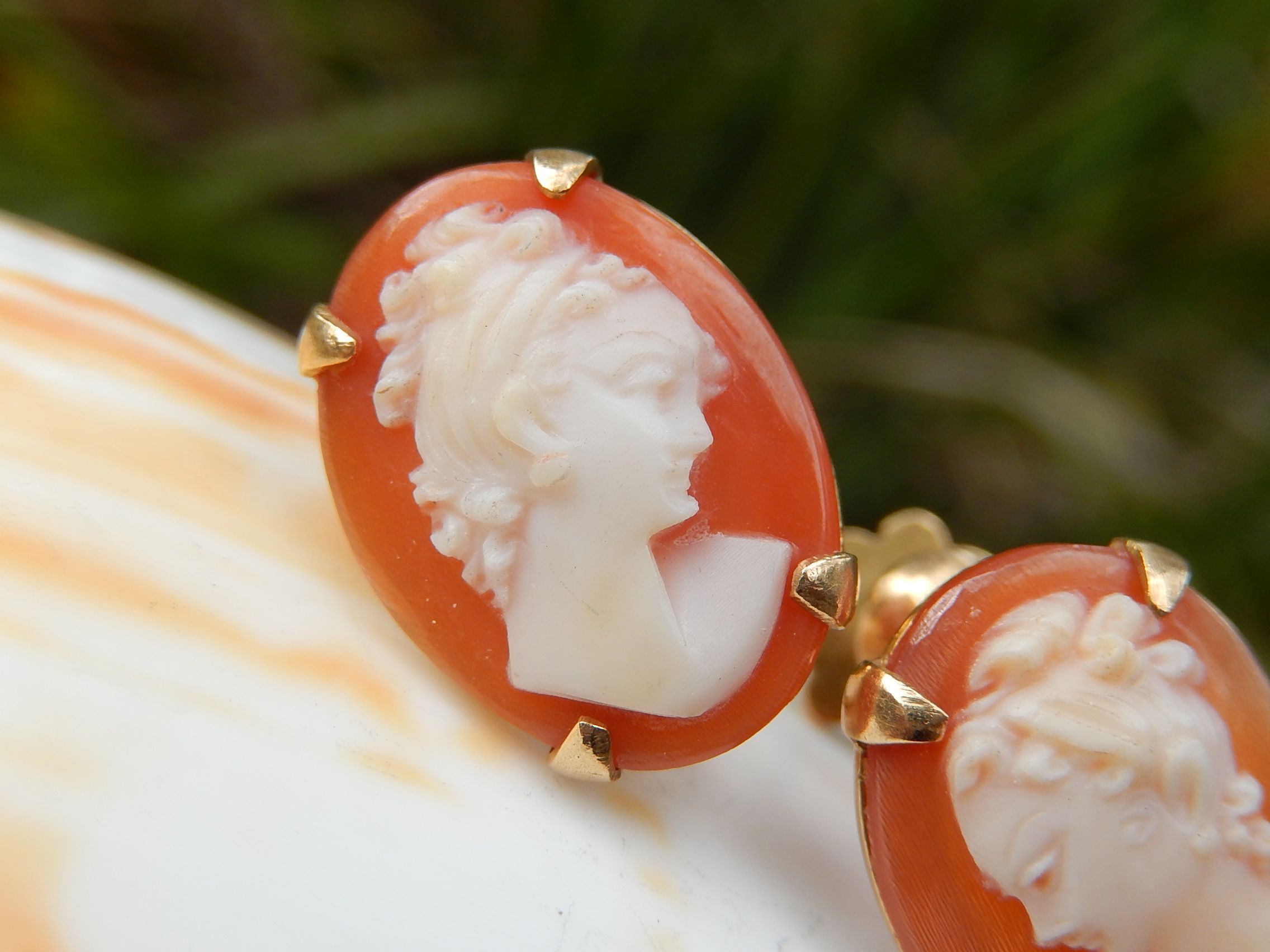 Antique Cameo Earrings The Shop in the Bush