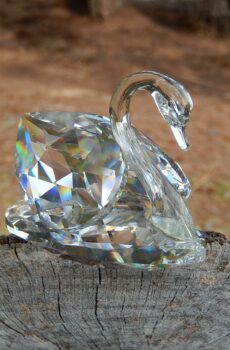 Swarovski Crystal Swan