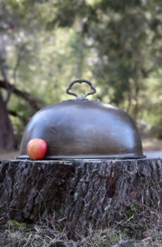 Henry Loveridge England c.1880