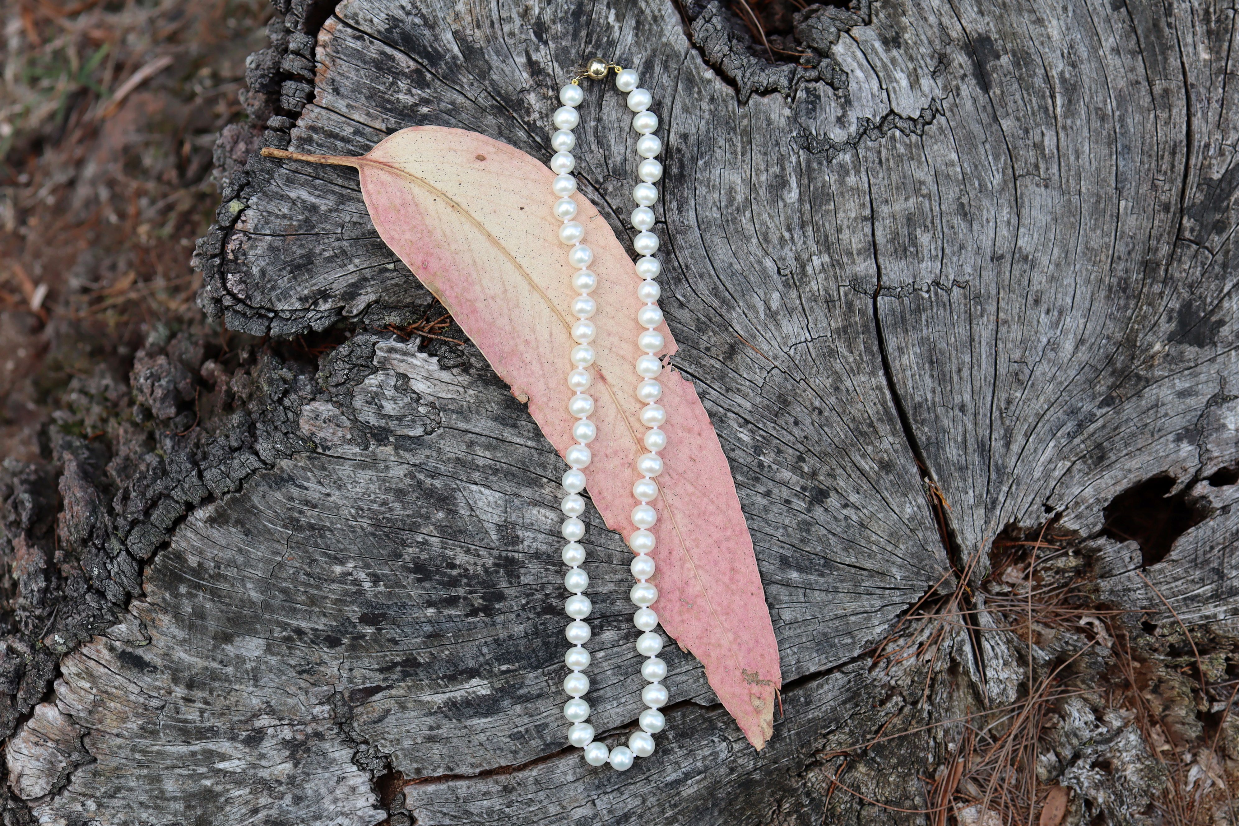 South Sea Cultured Pearls with 9ct Clasp - Image 2