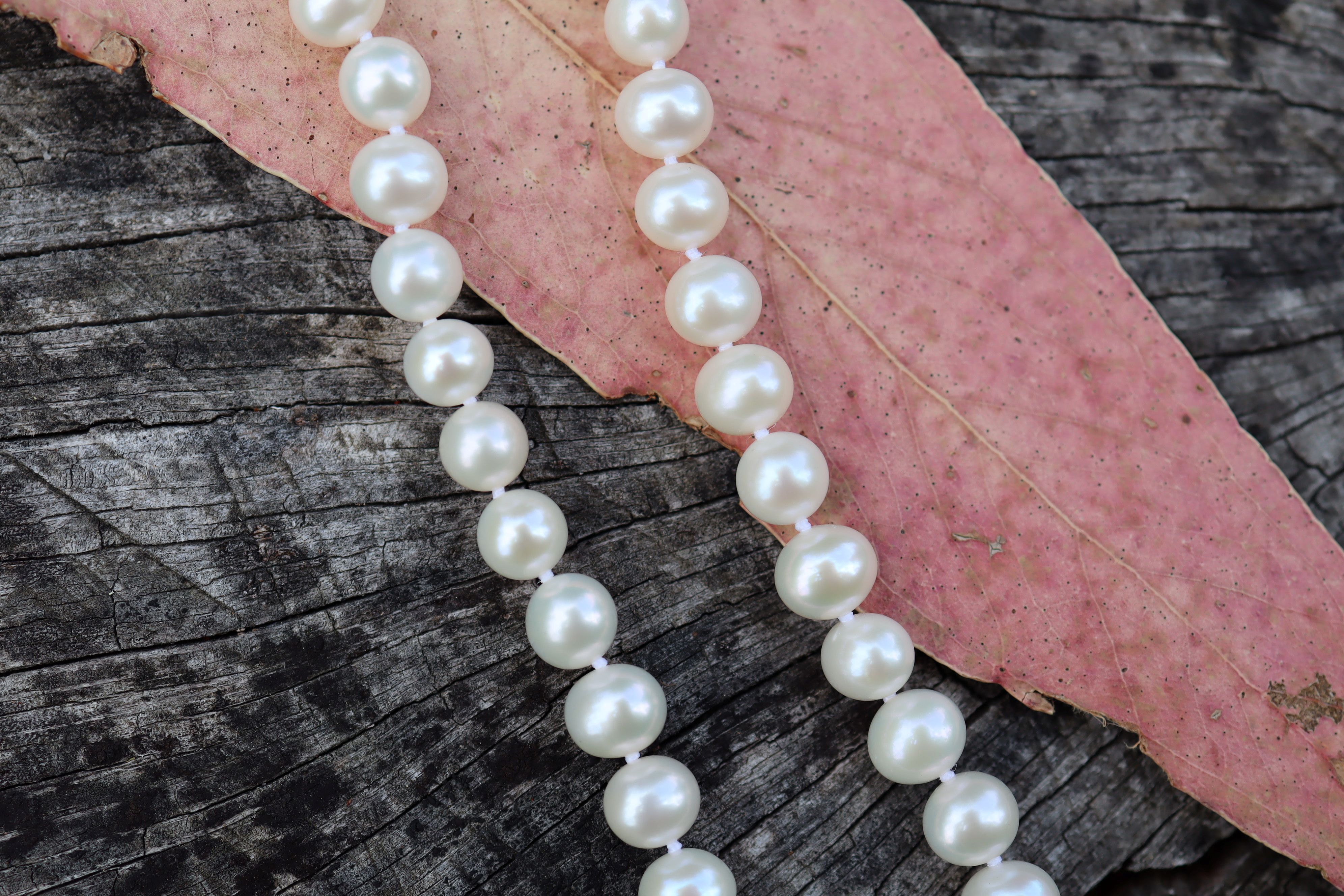South Sea Cultured Pearls with 9ct Clasp - Image 3