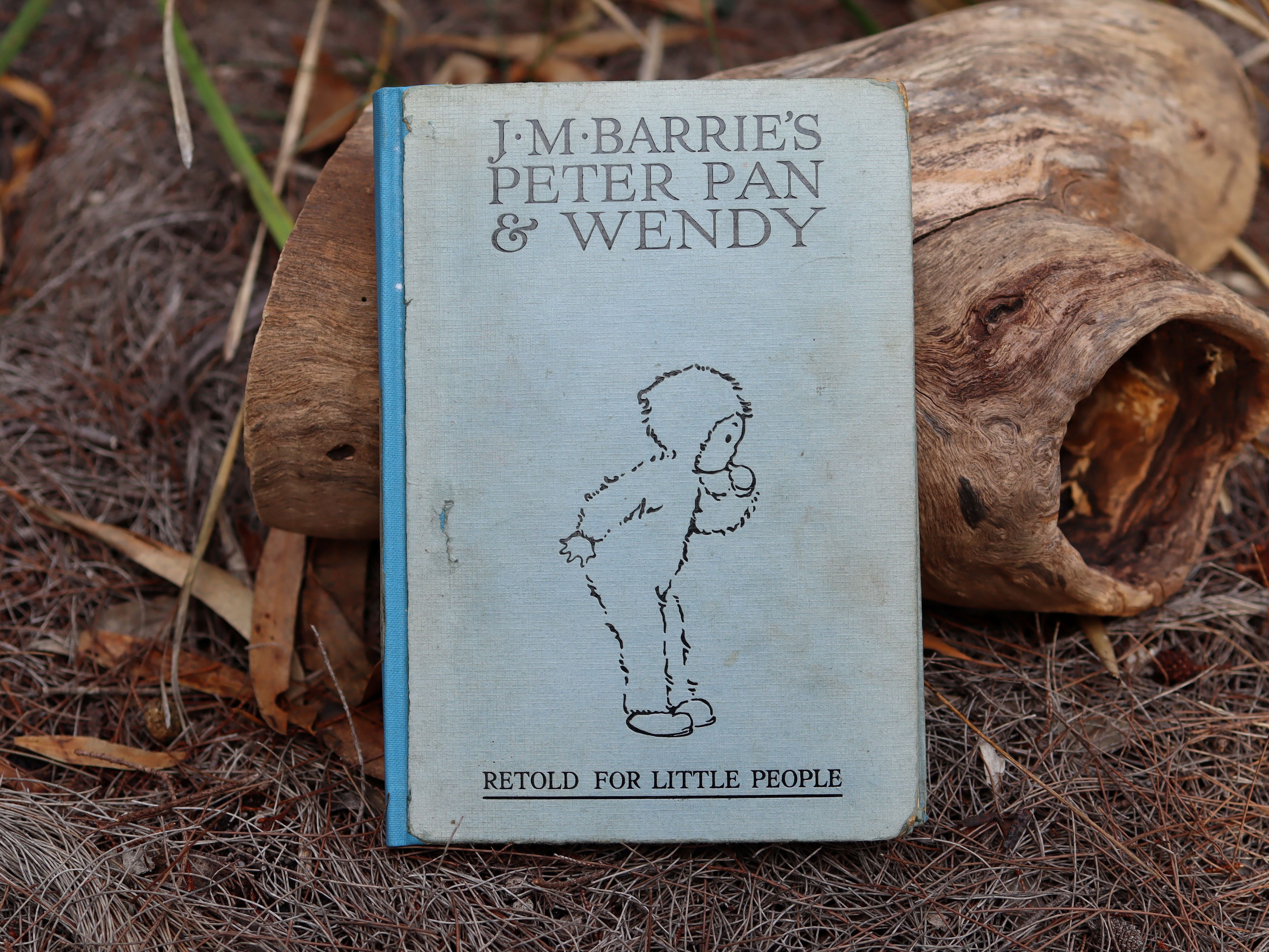 Peter Pan & Wendy by J.M. Barrie,