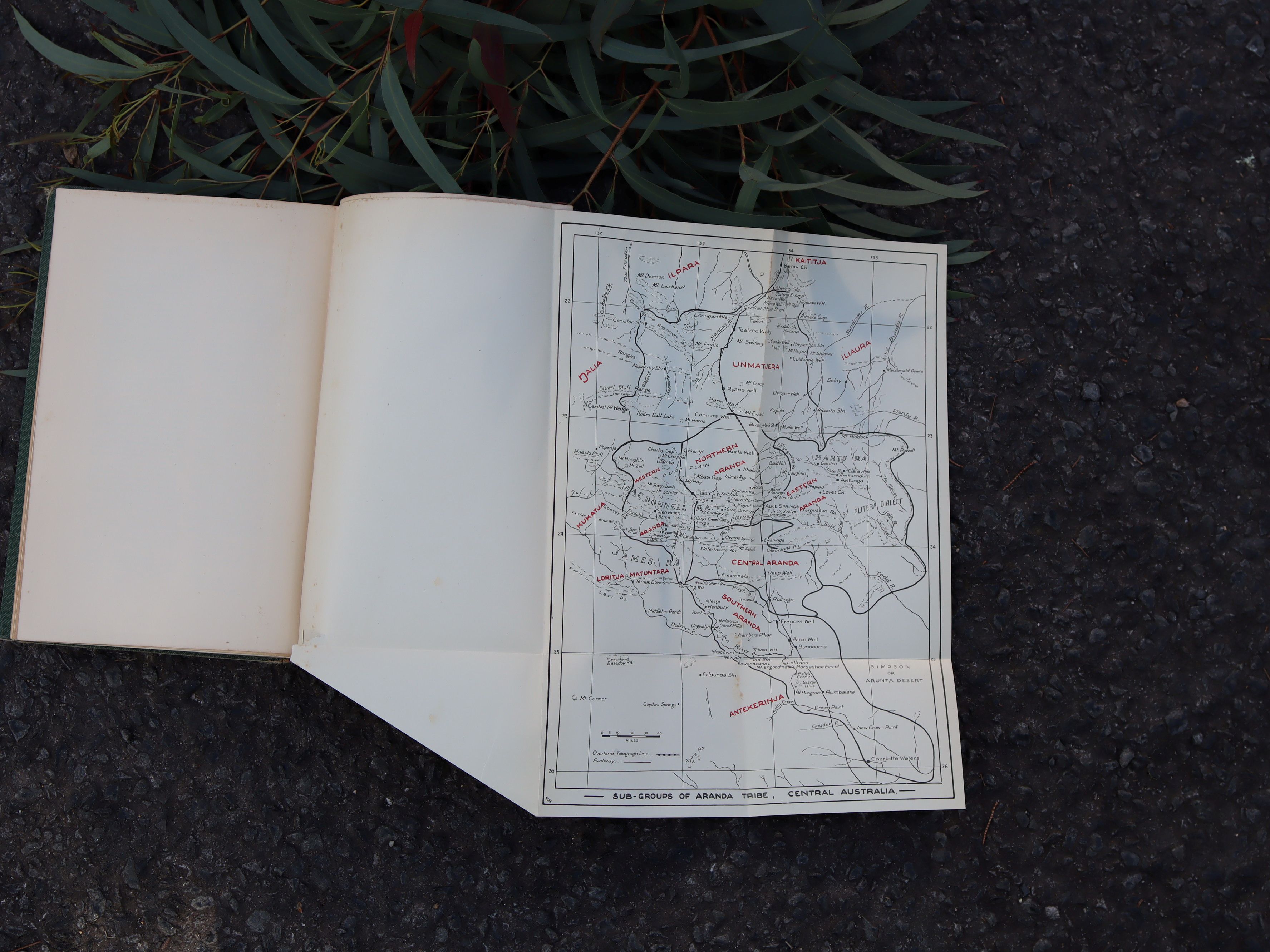 Aranda Traditions by TGH Strehlow, First Edition 1947 - Image 11