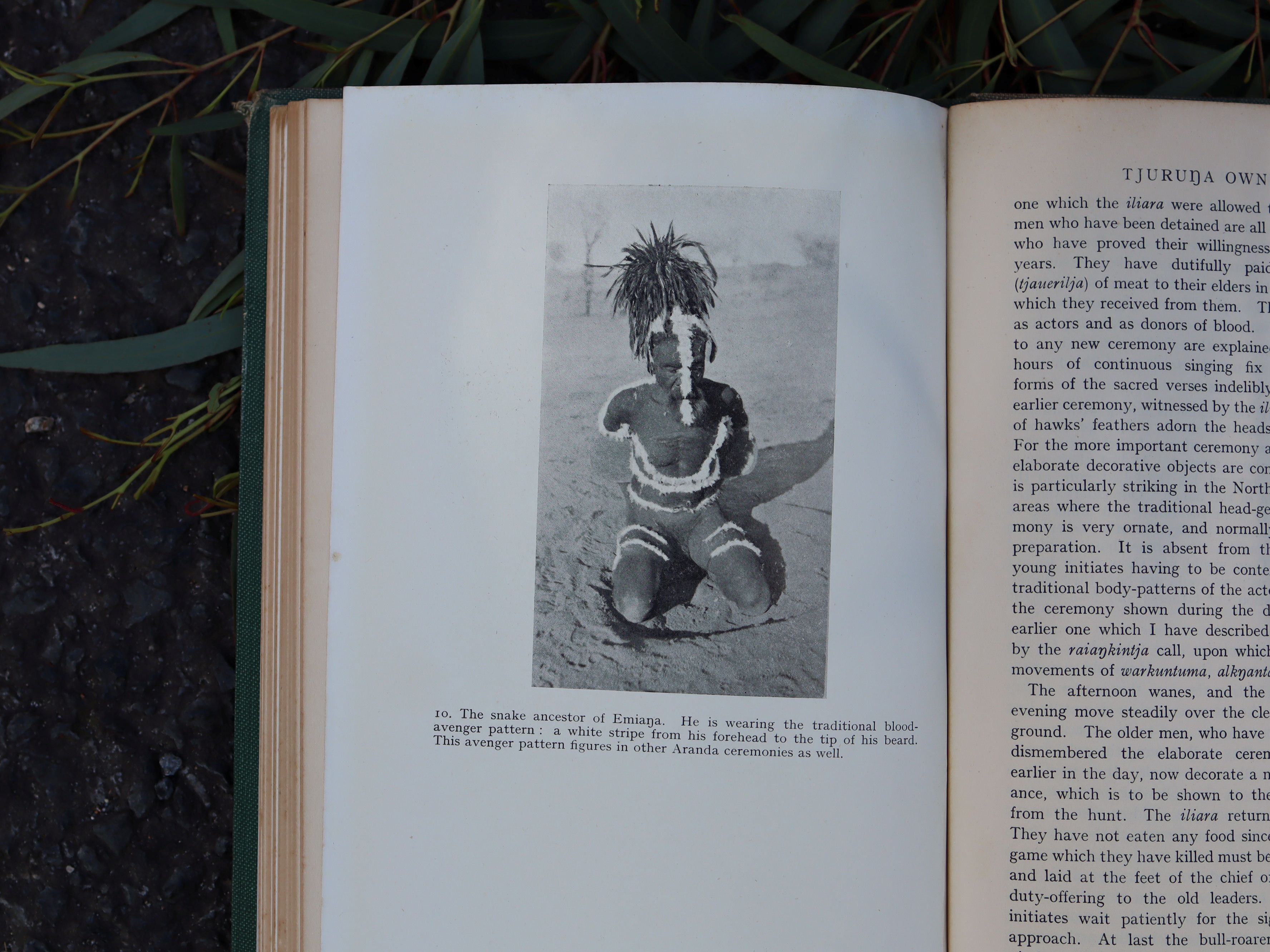 Aranda Traditions by TGH Strehlow, First Edition 1947 - Image 14