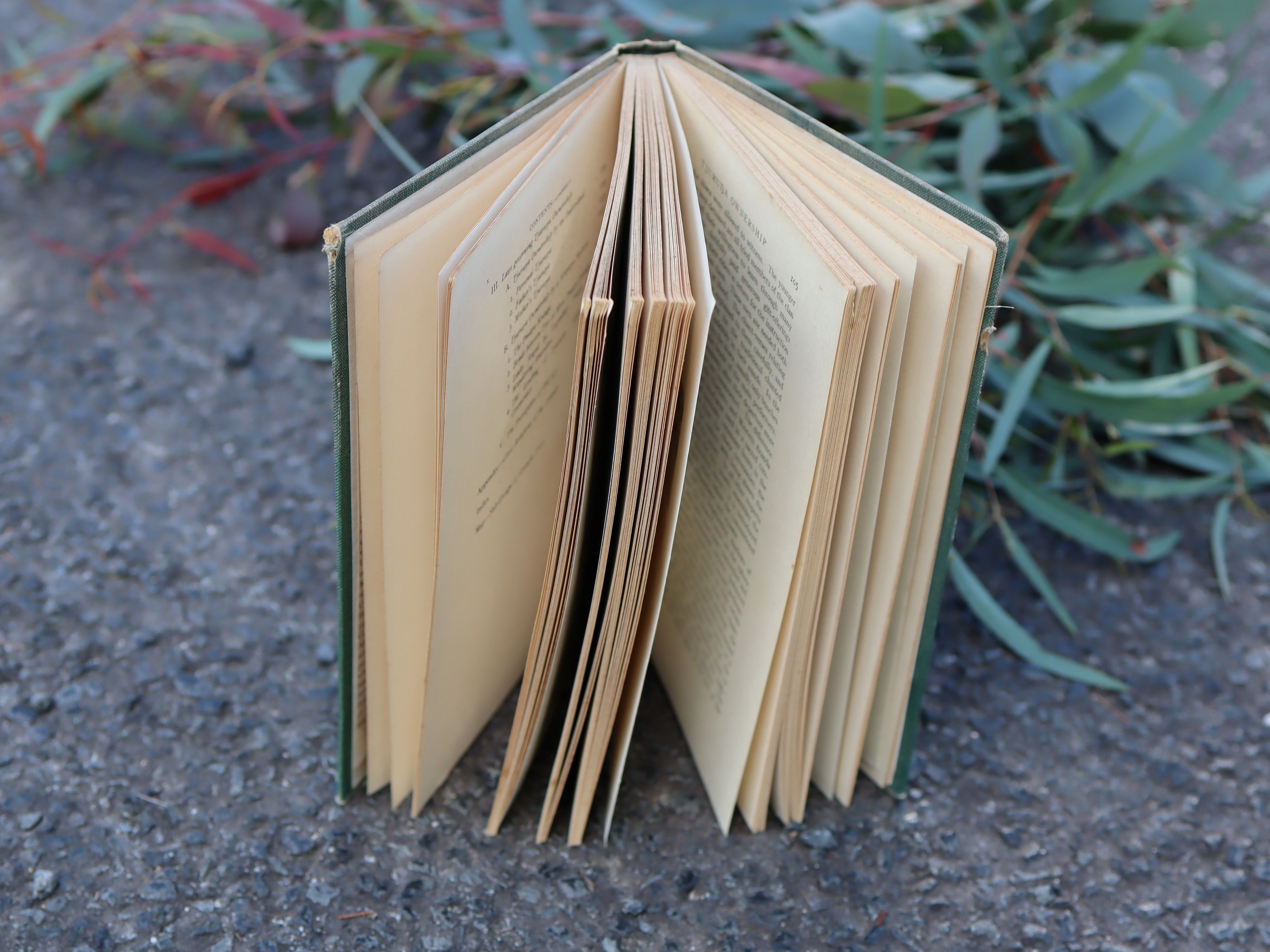 Aranda Traditions by TGH Strehlow, First Edition 1947 - Image 15