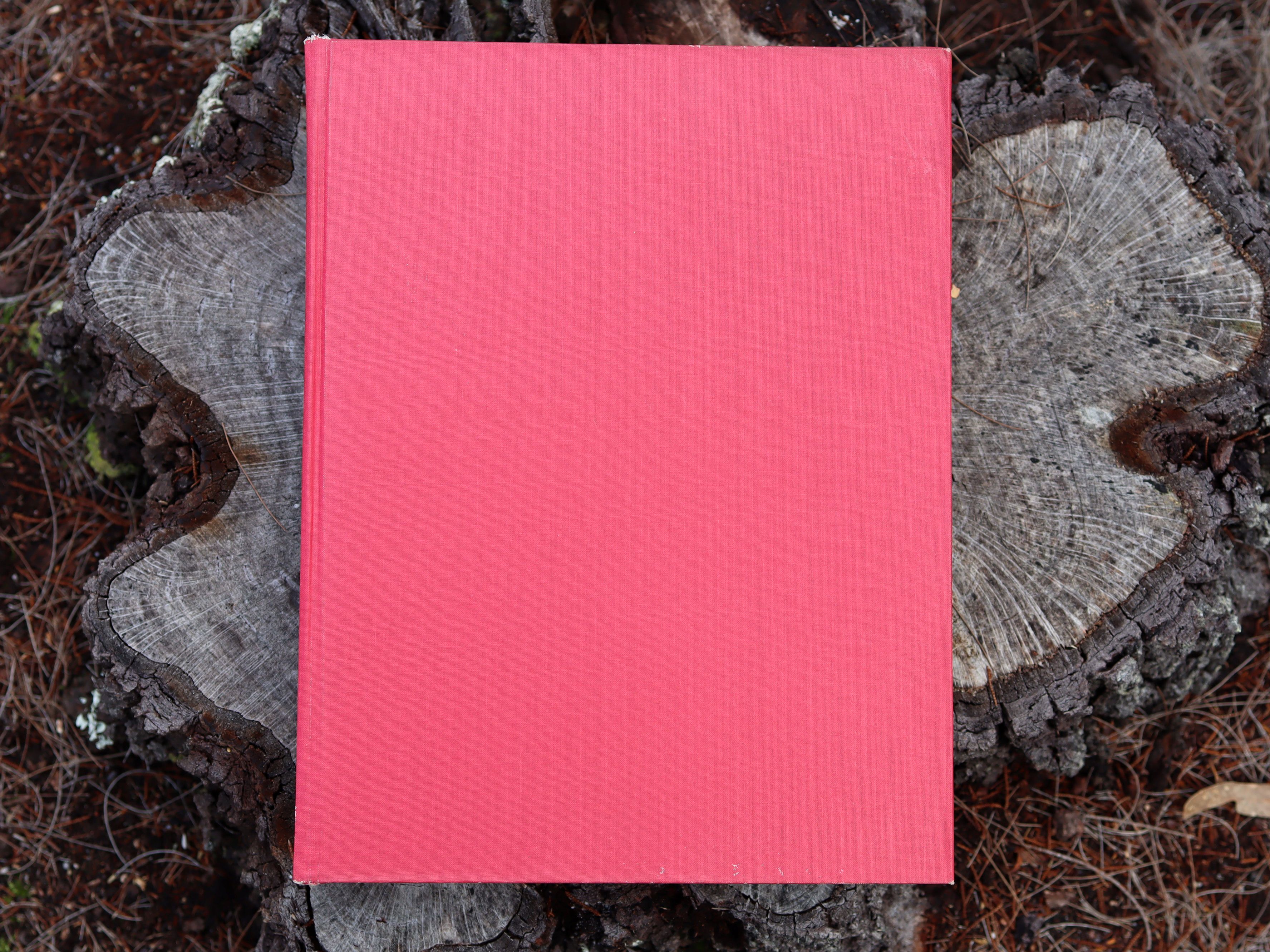 Orchids of Australia First Edition 1969 - W. H. Nicholls - Image 2