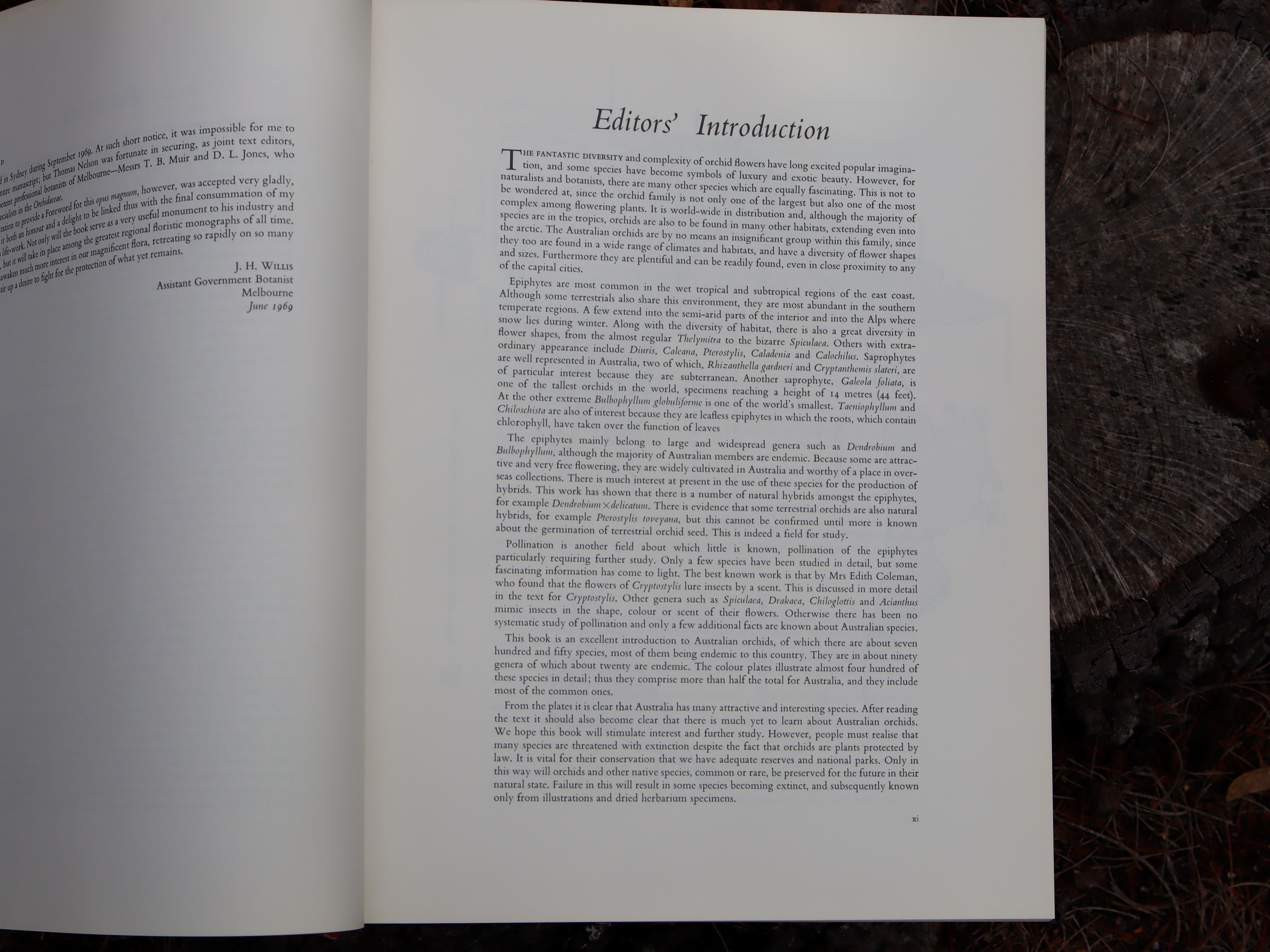 Orchids of Australia First Edition 1969 - W. H. Nicholls - Image 11