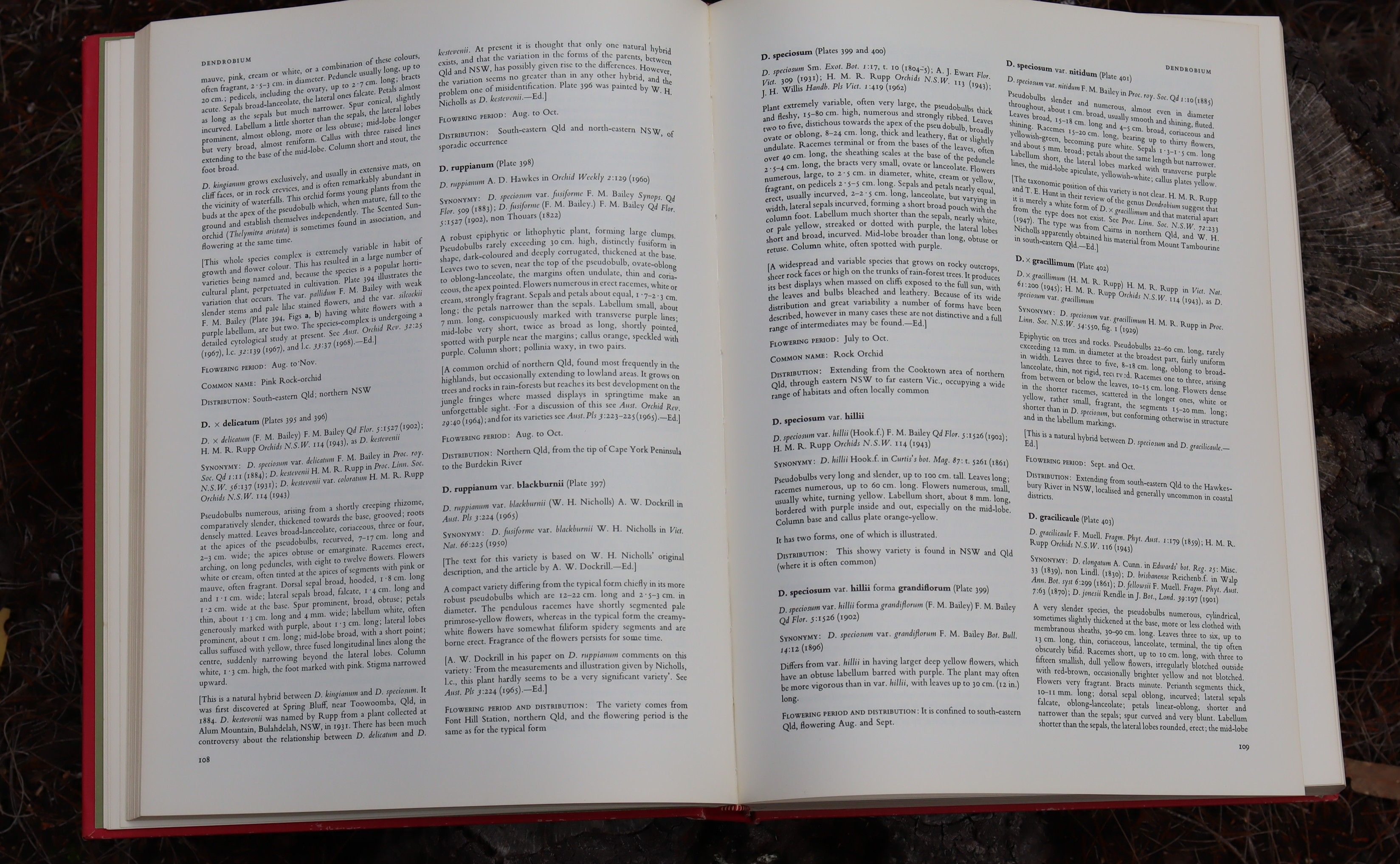 Orchids of Australia First Edition 1969 - W. H. Nicholls - Image 13