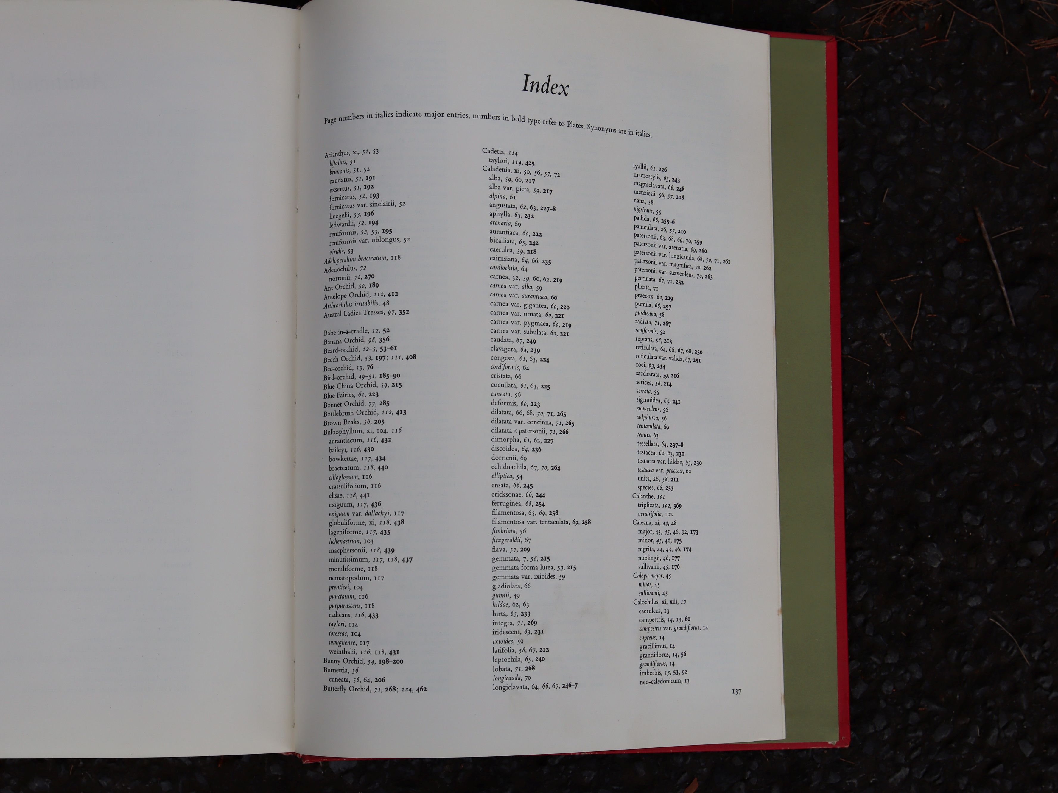 Orchids of Australia First Edition 1969 - W. H. Nicholls - Image 16