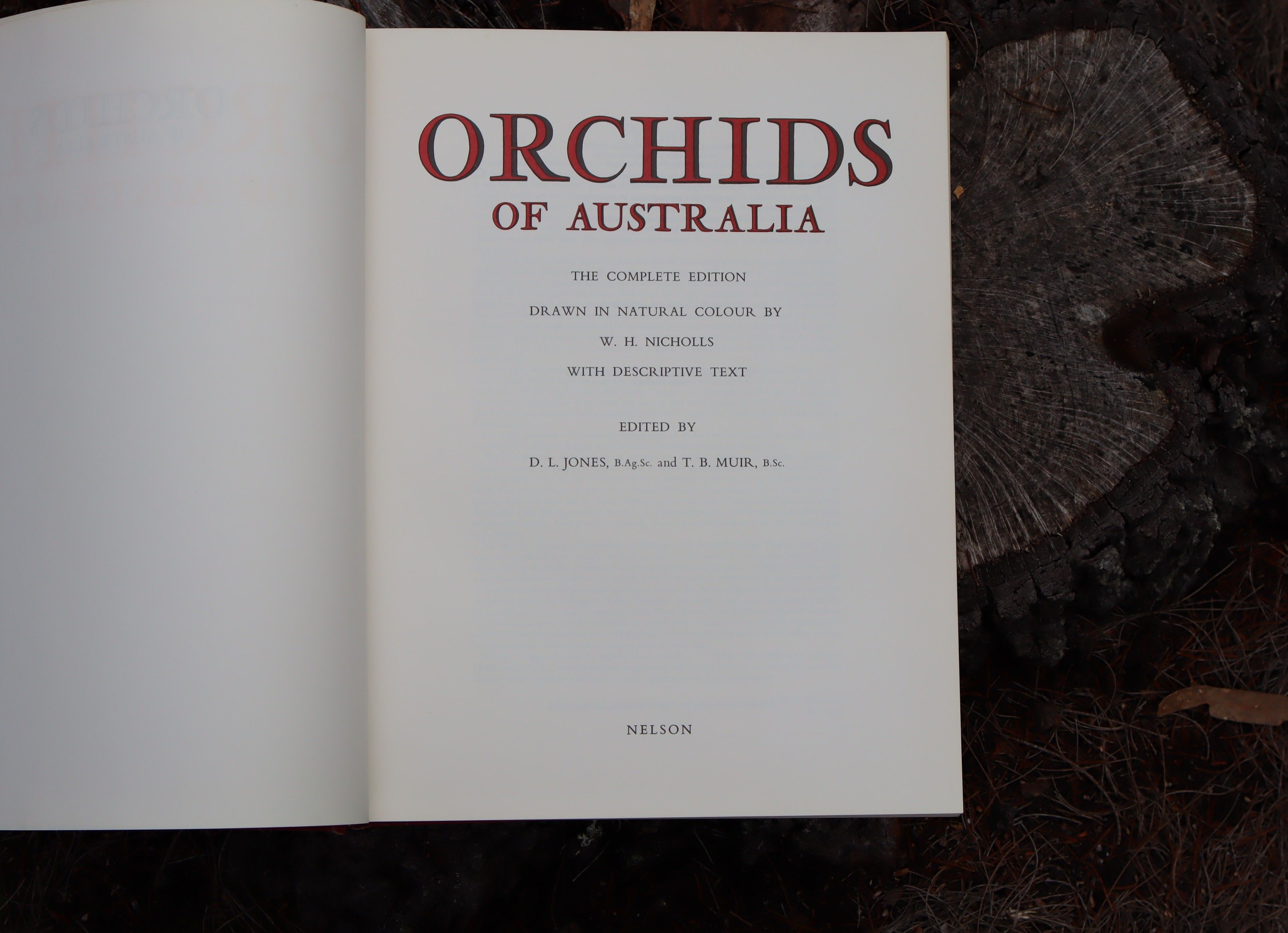 Orchids of Australia First Edition 1969 - W. H. Nicholls - Image 5