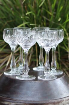 Stuart Crystal Hock Wine Glasses Set of 6