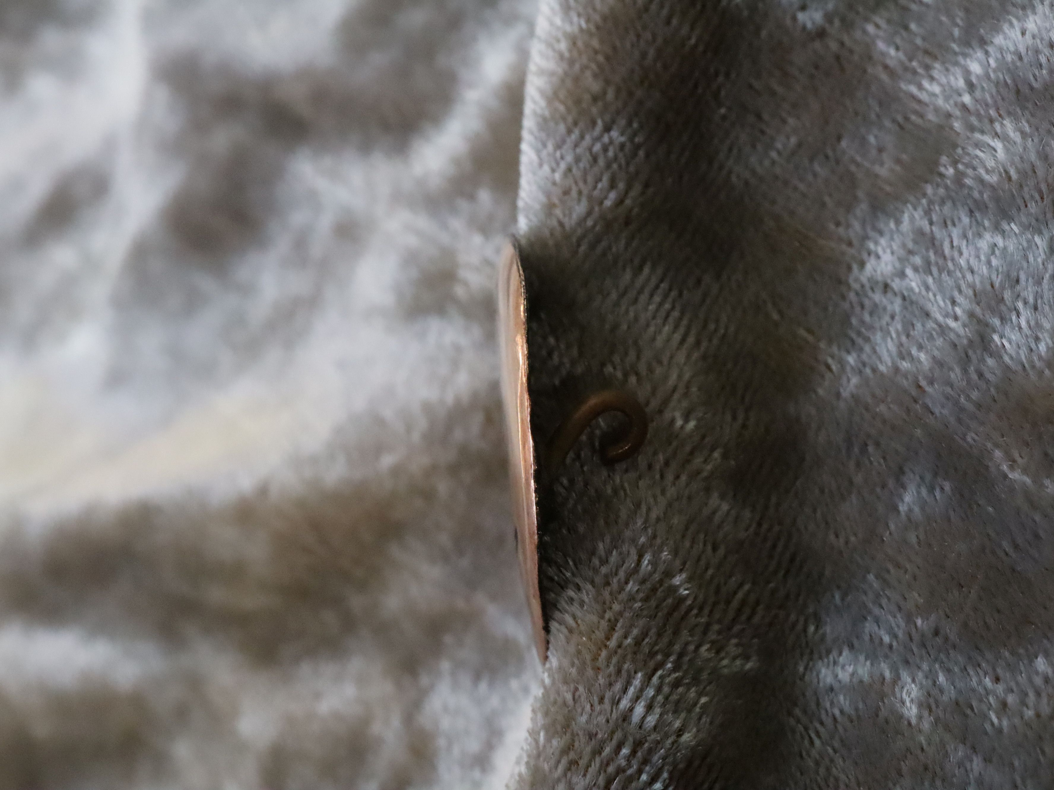 Australiana Kookaburra Brooch - Image 4