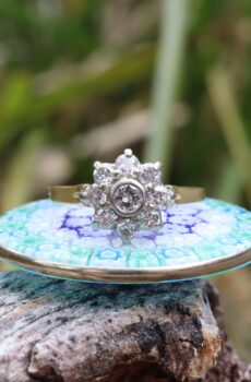 Diamond Ring in 9ct Gold