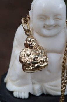 9ct Gold Buddha on 9ct Box Chain